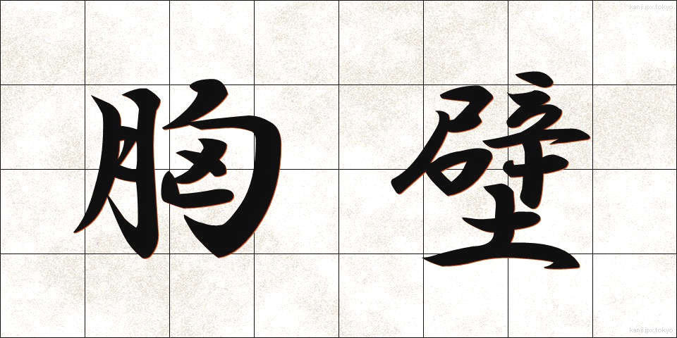 胸壁 (きょうへき)