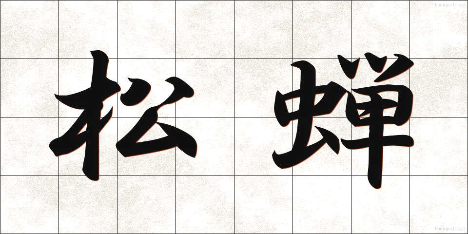 松蝉 (まつぜみ)