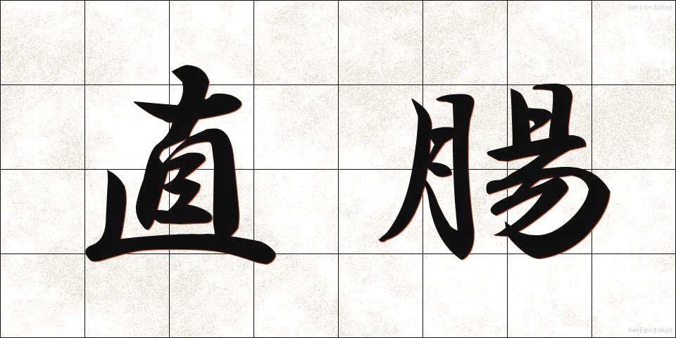 直腸 (ちょくちょう)