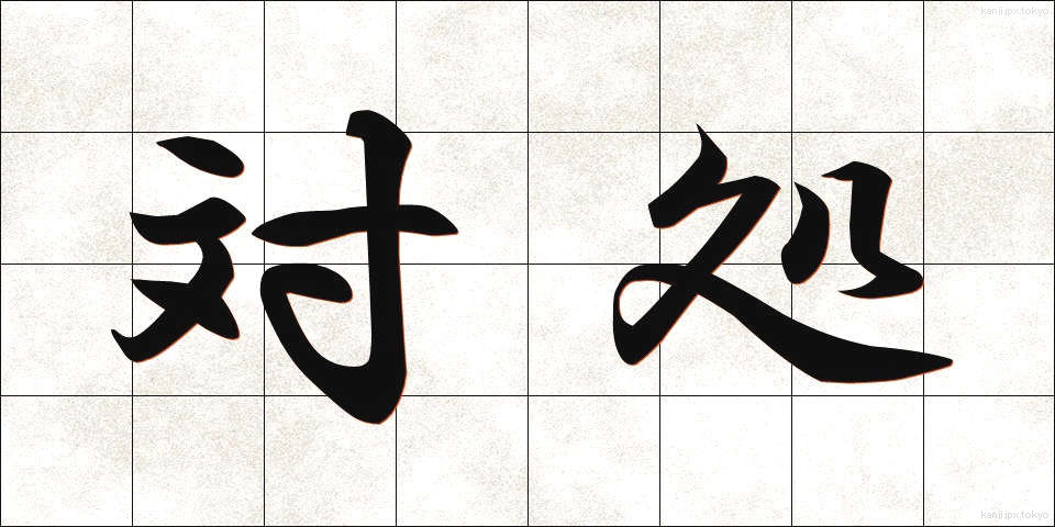 対処 (たいしょ)