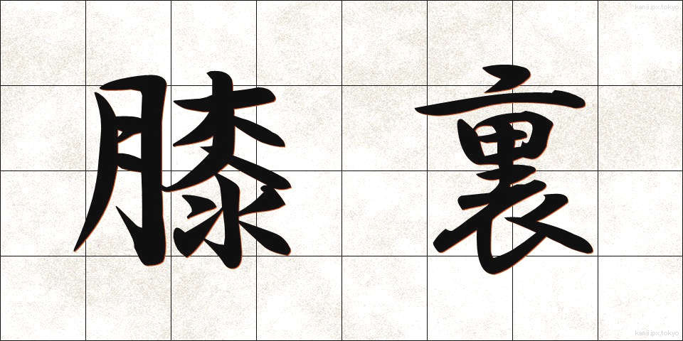 膝裏 (ひざうら)
