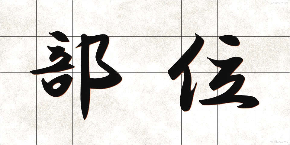 部位 (ぶい)