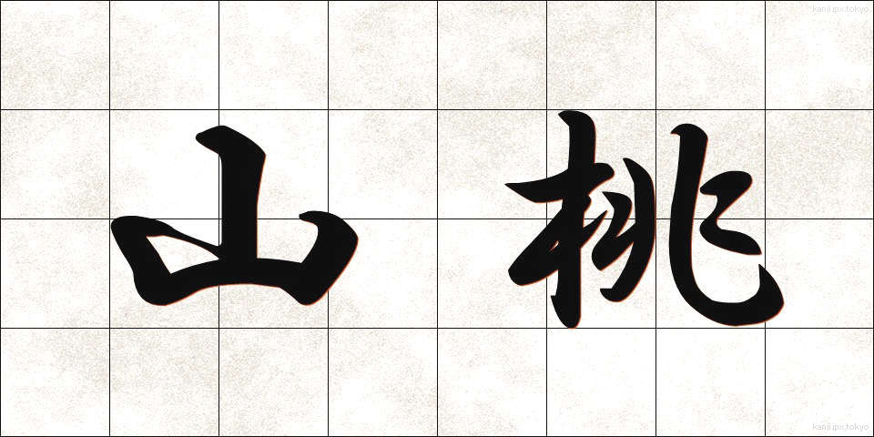 山桃 (やまもも)