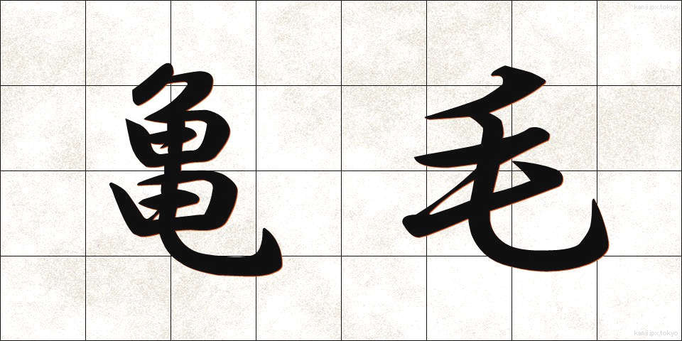 亀毛 (きもう)