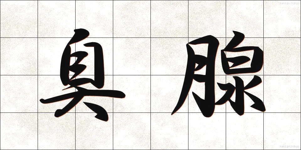 臭腺 (しゅうせん)