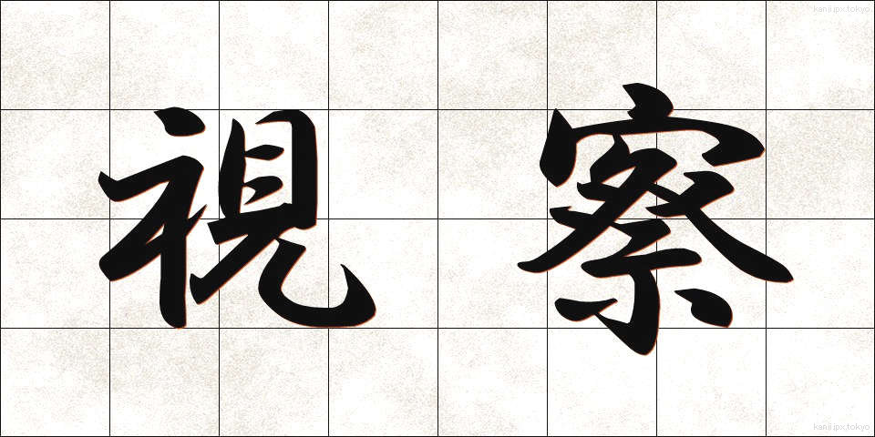 視察 (しさつ)