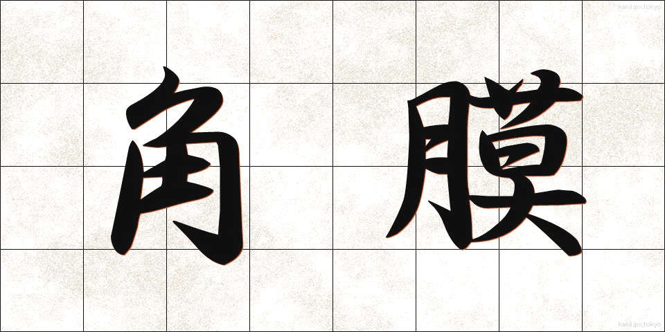 角膜 (かくまく)