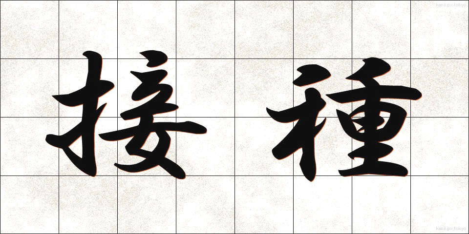 接種 (せっしゅ)