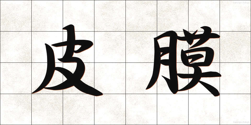 皮膜 (ひまく)