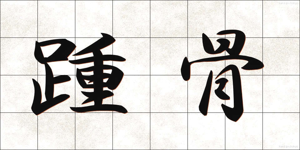 踵骨 (しょうこつ)