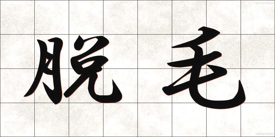 脱毛 (だつもう)