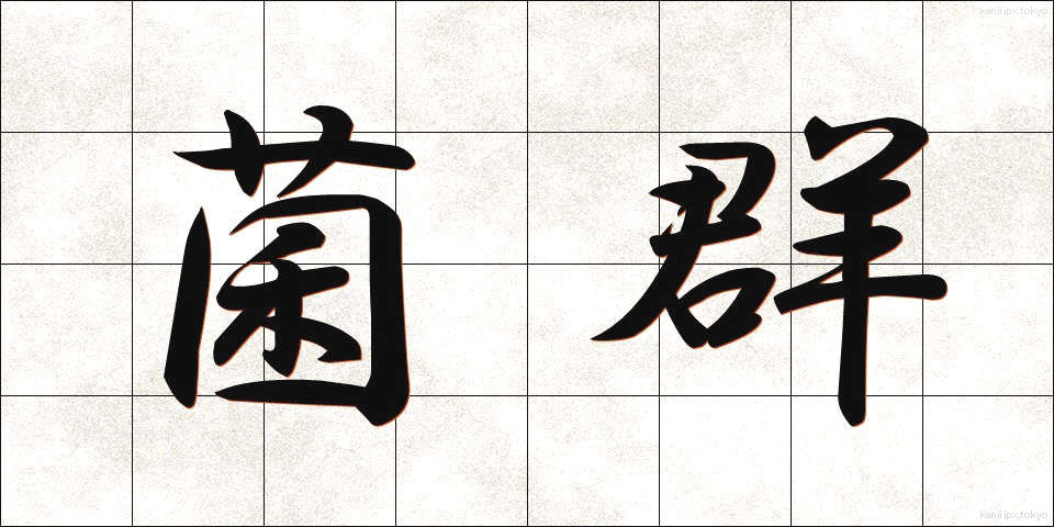 菌群 (きんぐん)