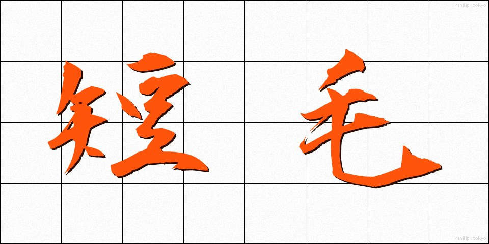 短毛 (たんもう)