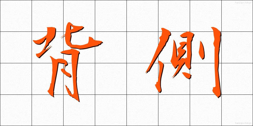 背側 (はいそく)