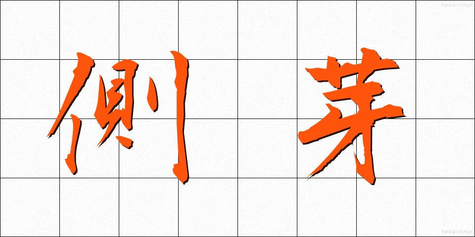 側芽 (そくが)