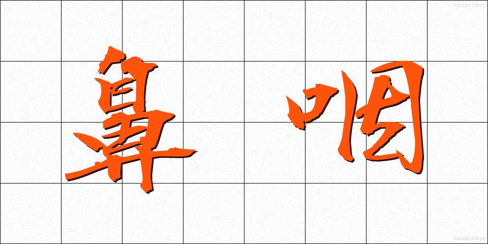 鼻咽 (びいん)