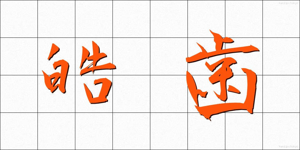 皓歯 (こうし)