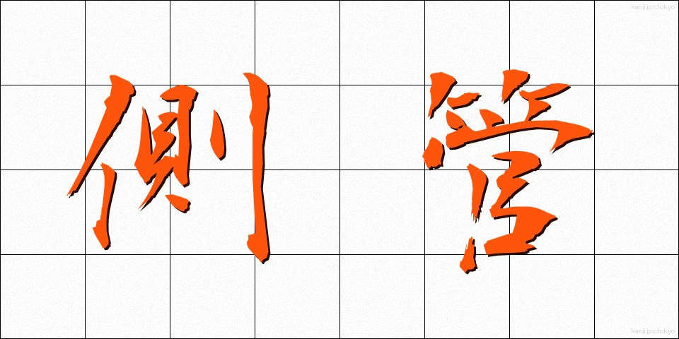 側管 (そくかん)