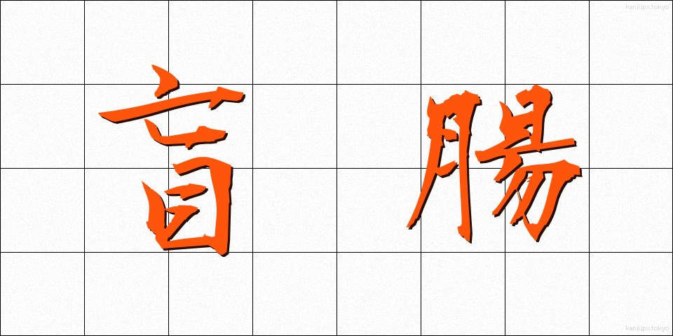 盲腸 (もうちょう)