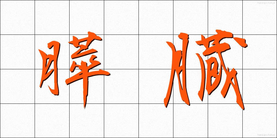 膵臓 (すいぞう)