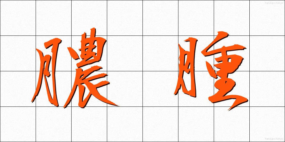 膿腫 (のうしゅ)