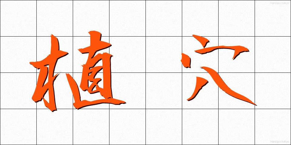 植穴 (うえあな)