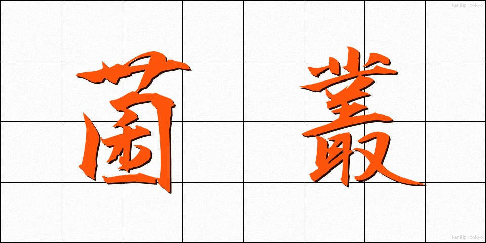 菌叢 (きんそう)