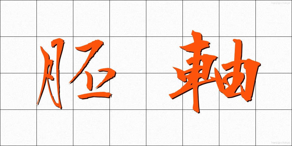胚軸 (はいじく)