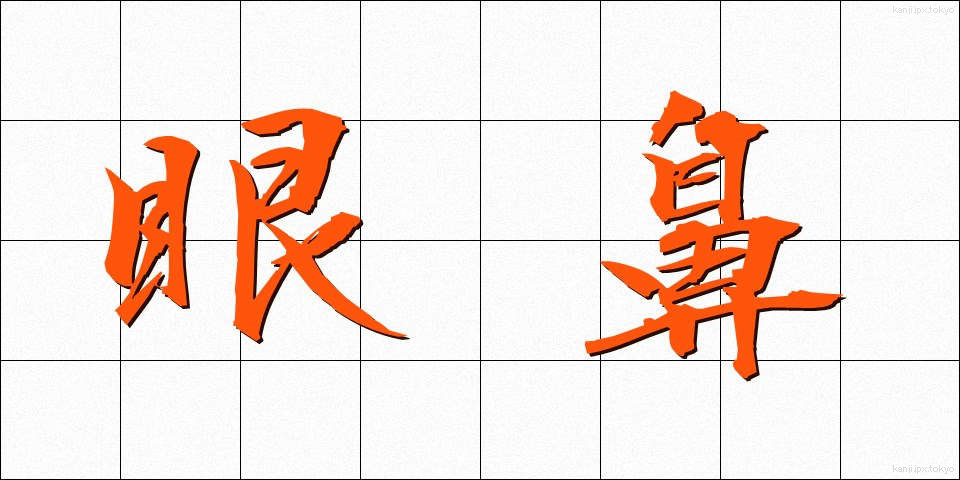 眼鼻 (がんび)