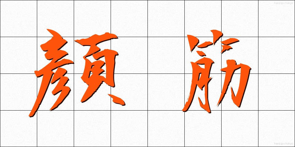 顔筋 (がんきん)