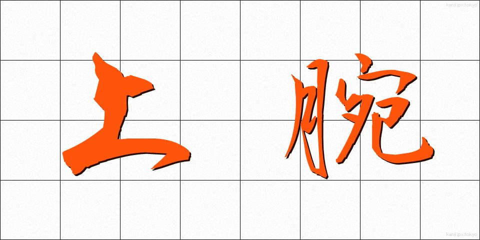 上腕 (じょうわん)