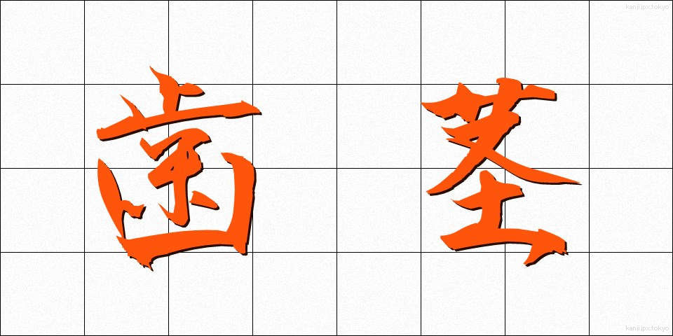 歯茎 (はぐき)