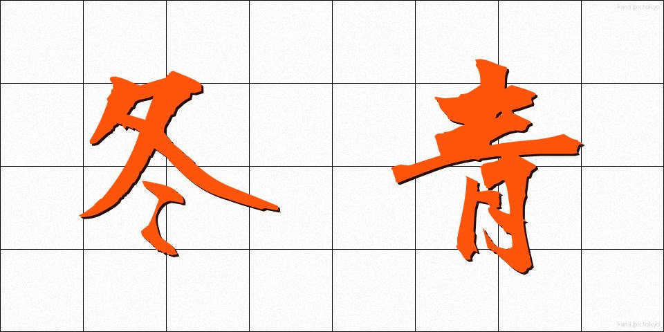 冬青 (ふゆあおい)