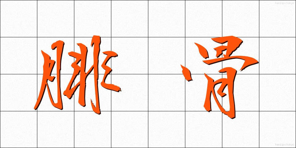 腓骨 (ひこつ)