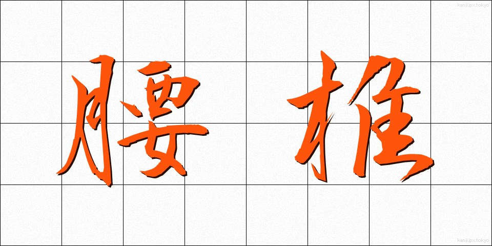 腰椎 (ようつい)