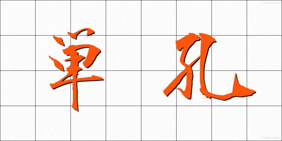 単孔 (たんこう)