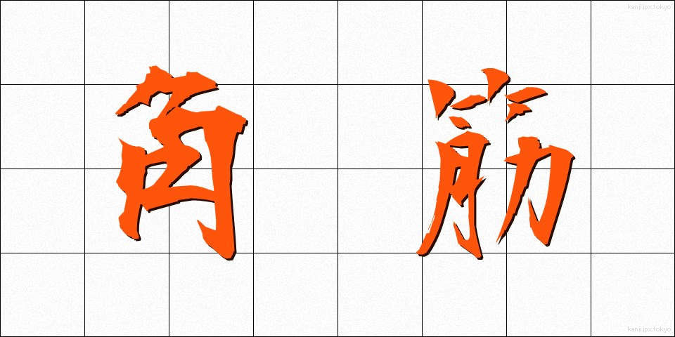 角筋 (かくすじ)