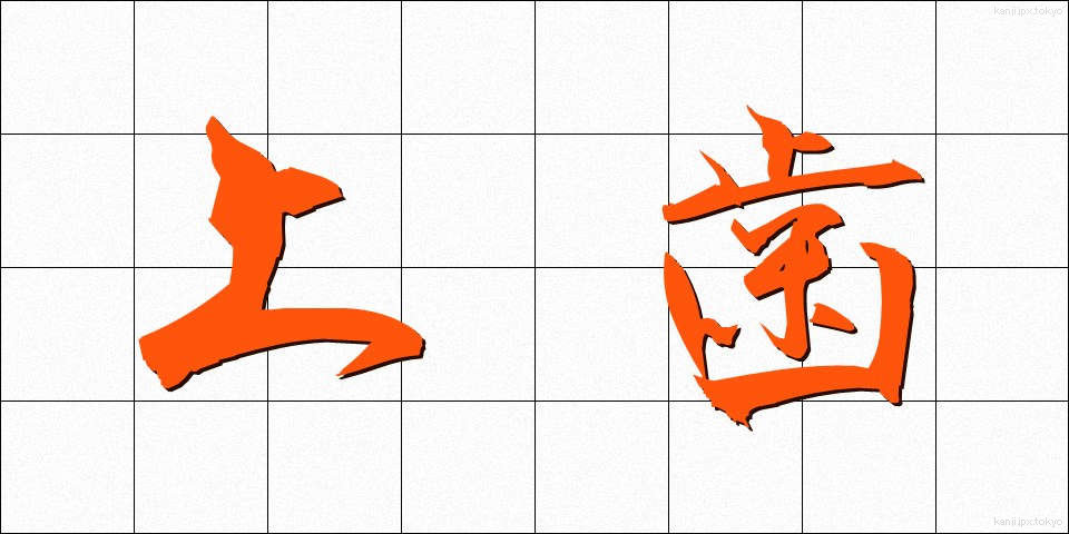 上歯 (じょうし)