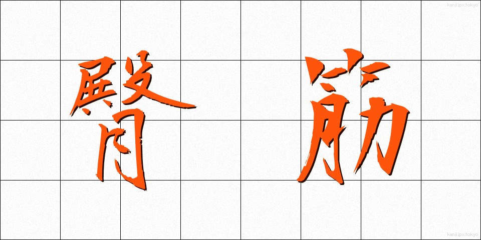 臀筋 (でんきん)