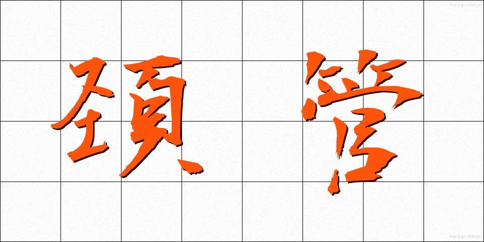 頚管 (けいかん)