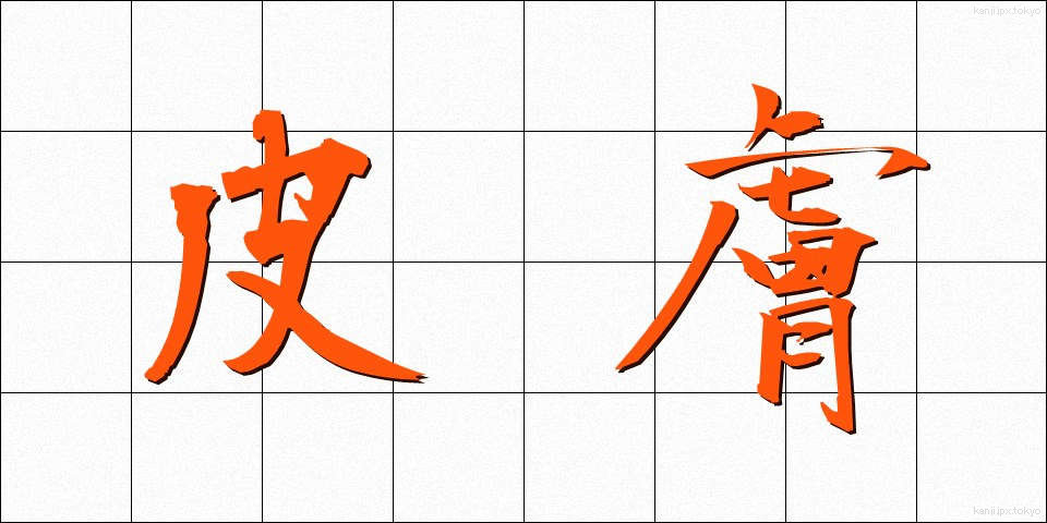 皮膚 (ひふ)