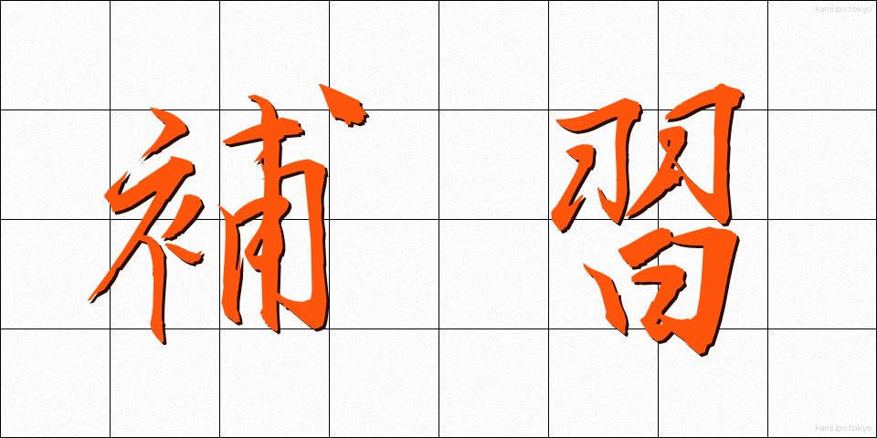 補習 (ほしゅう)
