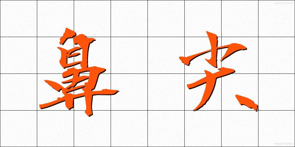 鼻尖 (びせん)