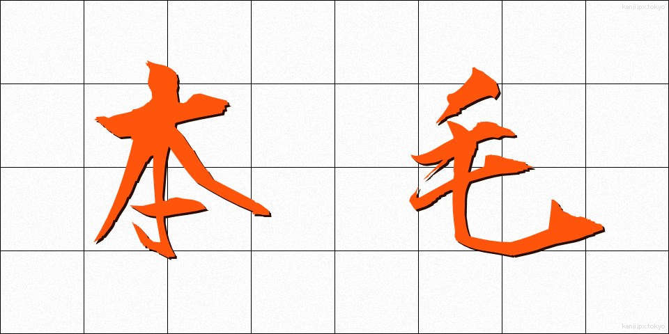 本毛 (ほんもう)