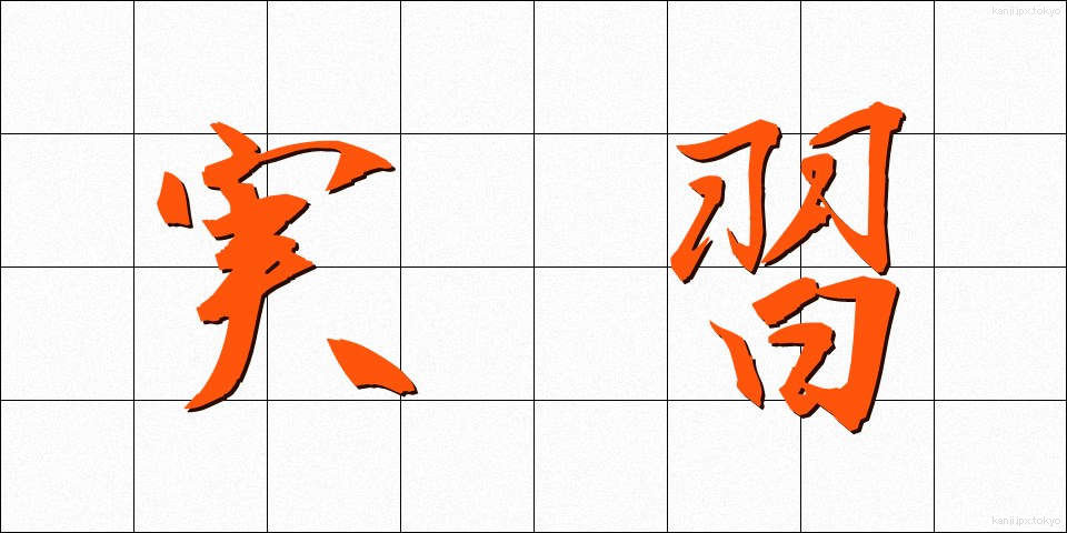 実習 (じっしゅう)