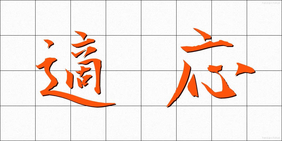 適応 (てきおう)