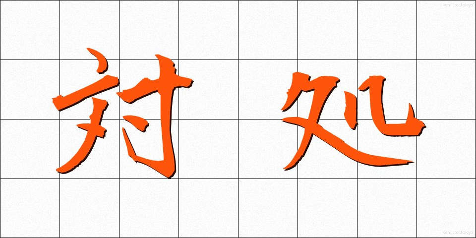 対処 (たいしょ)