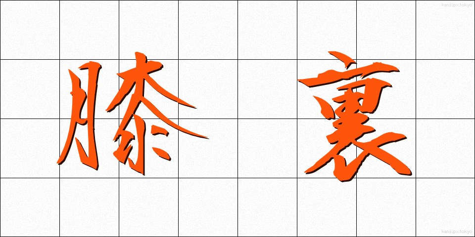 膝裏 (ひざうら)