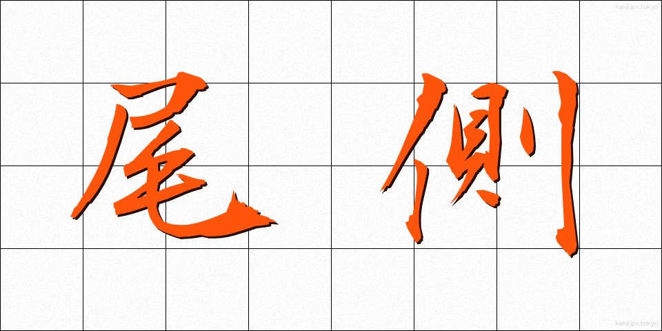 尾側 (びそく)