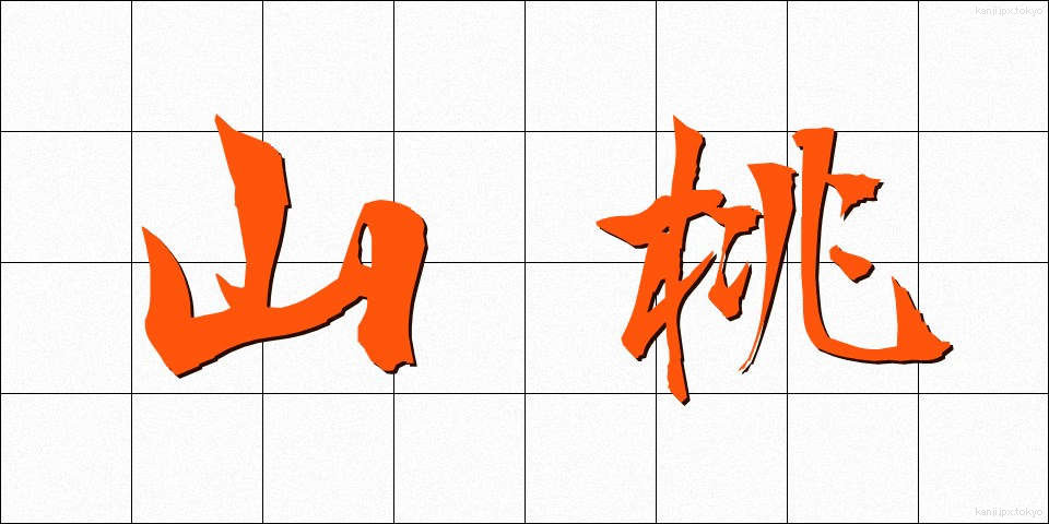 山桃 (やまもも)